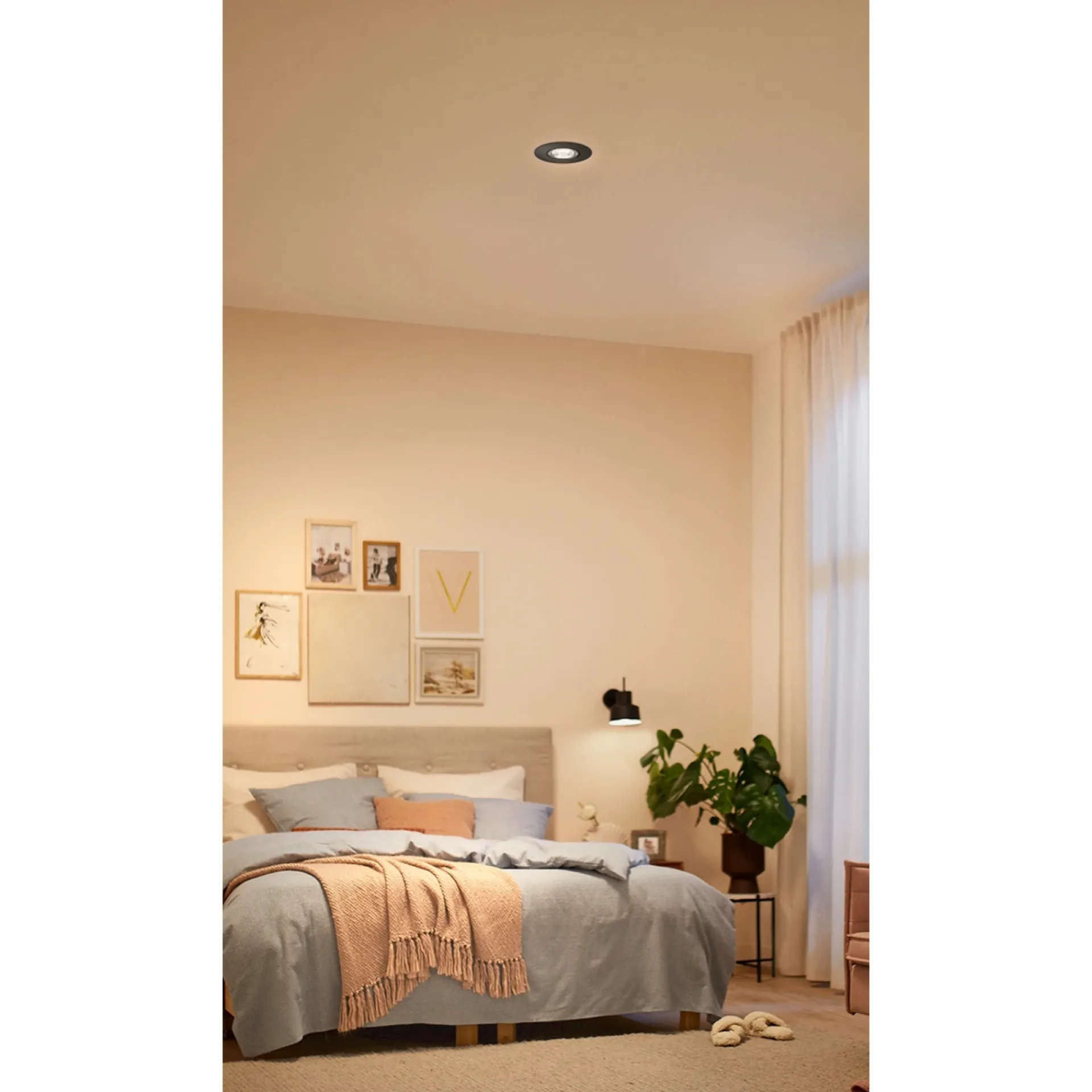 Best Philips CILANTRO SPOT SORT 5