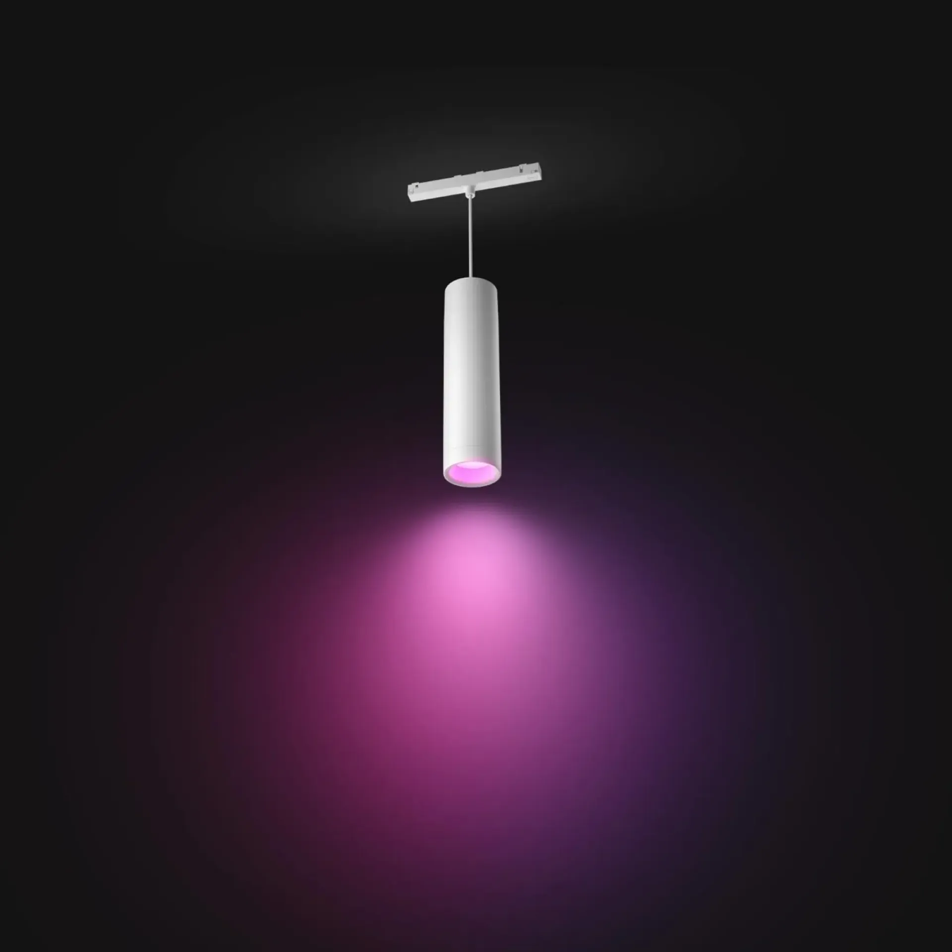 Clearance Philips Hue PERIFO PENDEL SKINNESYSTEM HVID LED 5W