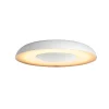 Best Philips Hue WA STILL PLAFOND 23W HVID 39,1 CM