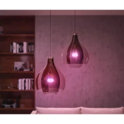 Clearance Philips Hue WCA 2 X E27, BRIDGE & DIM. SWITCH STARTSÆT
