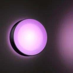Clearance Philips Hue WCA DAYLO UDENDØRS VÆGLAMPE 15W SORT