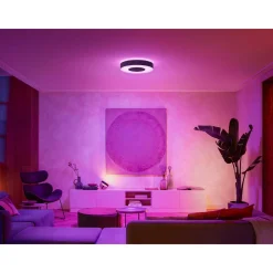 Clearance Philips Hue WCA INFUSE PLAFOND 53W SORT 476 MM