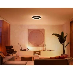 Clearance Philips Hue WCA INFUSE PLAFOND 53W SORT 476 MM