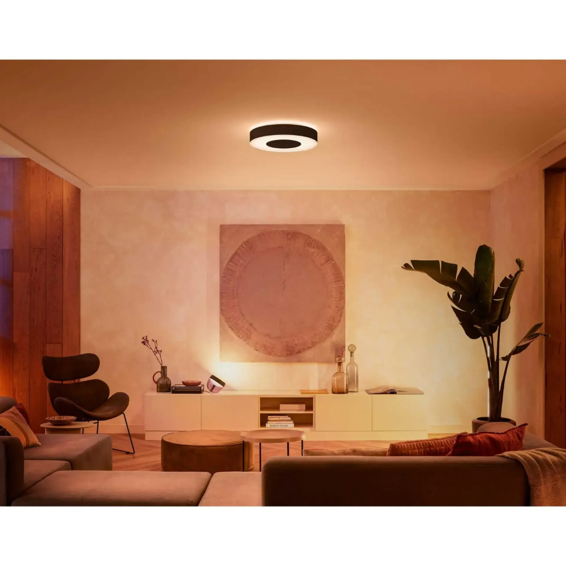 Clearance Philips Hue WCA INFUSE PLAFOND 53W SORT 476 MM