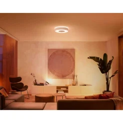 Best Philips Hue WCA INFUSE PLAFOND 34W HVID 380 MM