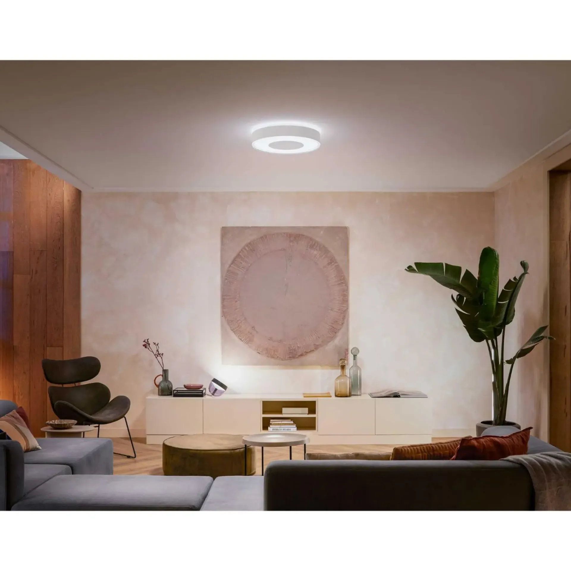 New Philips Hue WCA INFUSE PLAFOND 53W HVID 476 MM