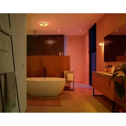 Outlet Philips Hue WCA XAMENTO PLAFOND 34W HVID 437 MM