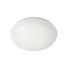 Clearance Philips SHAN PLAFOND 12W HVID 26 CM