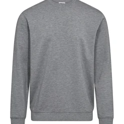 Clearance ProActive REGULAR SWEATSHIRT L LYS GRÅMELERET