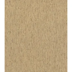 Outlet Rasch STUDIO 2027 TRÆLOOK TAPET 0,53X10 M