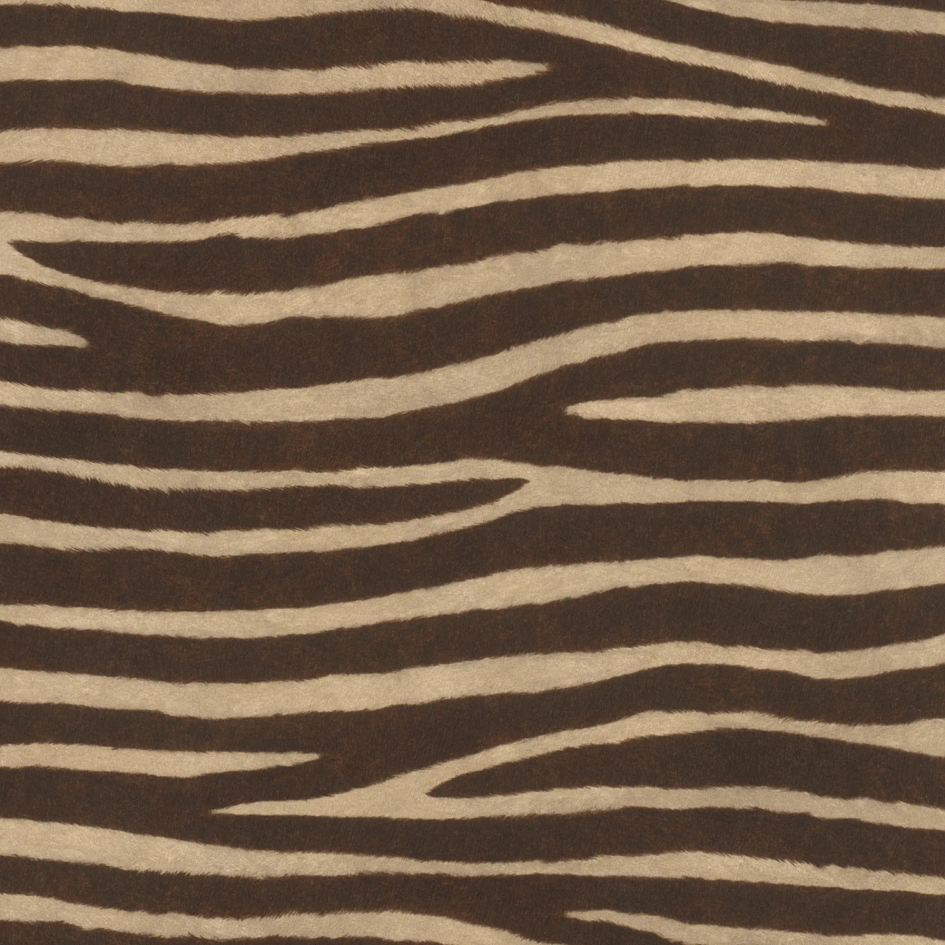 Best Rasch STUDIO 2027 ZEBRAPELS TAPET 0,53X10 M