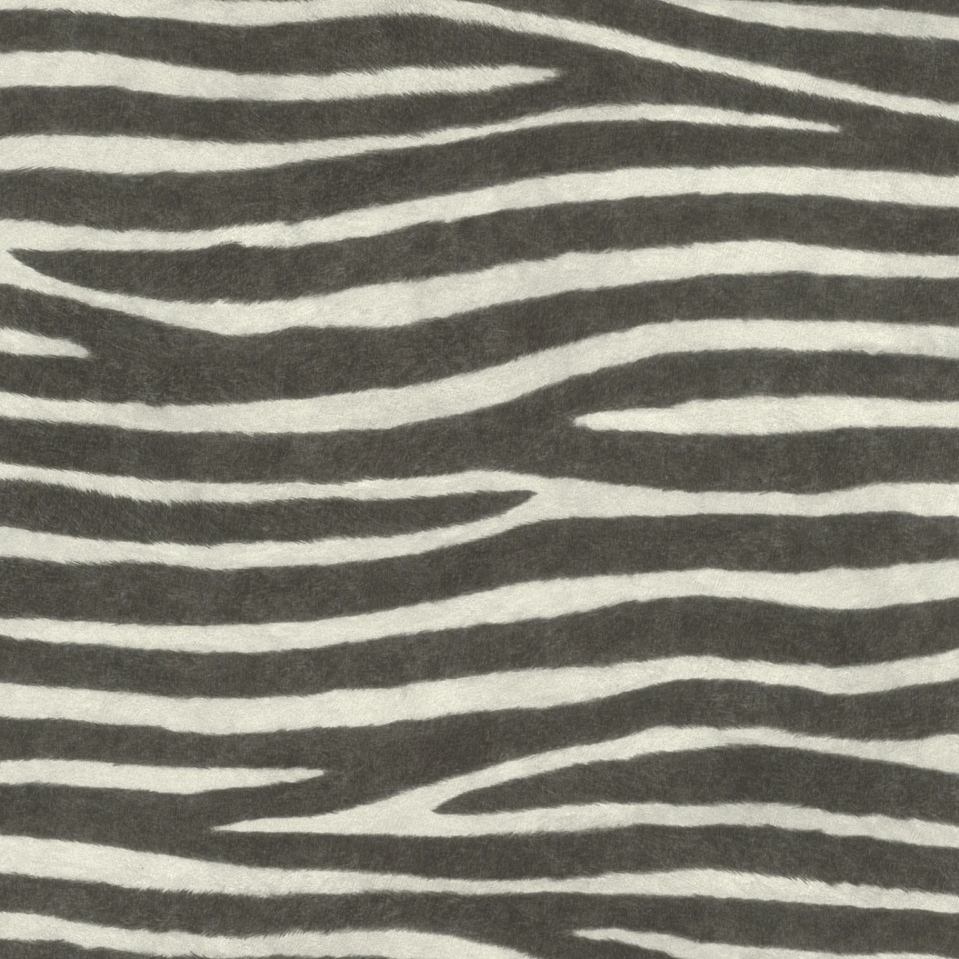 Rasch STUDIO 2027 ZEBRAPELS TAPET 0,53X10 M