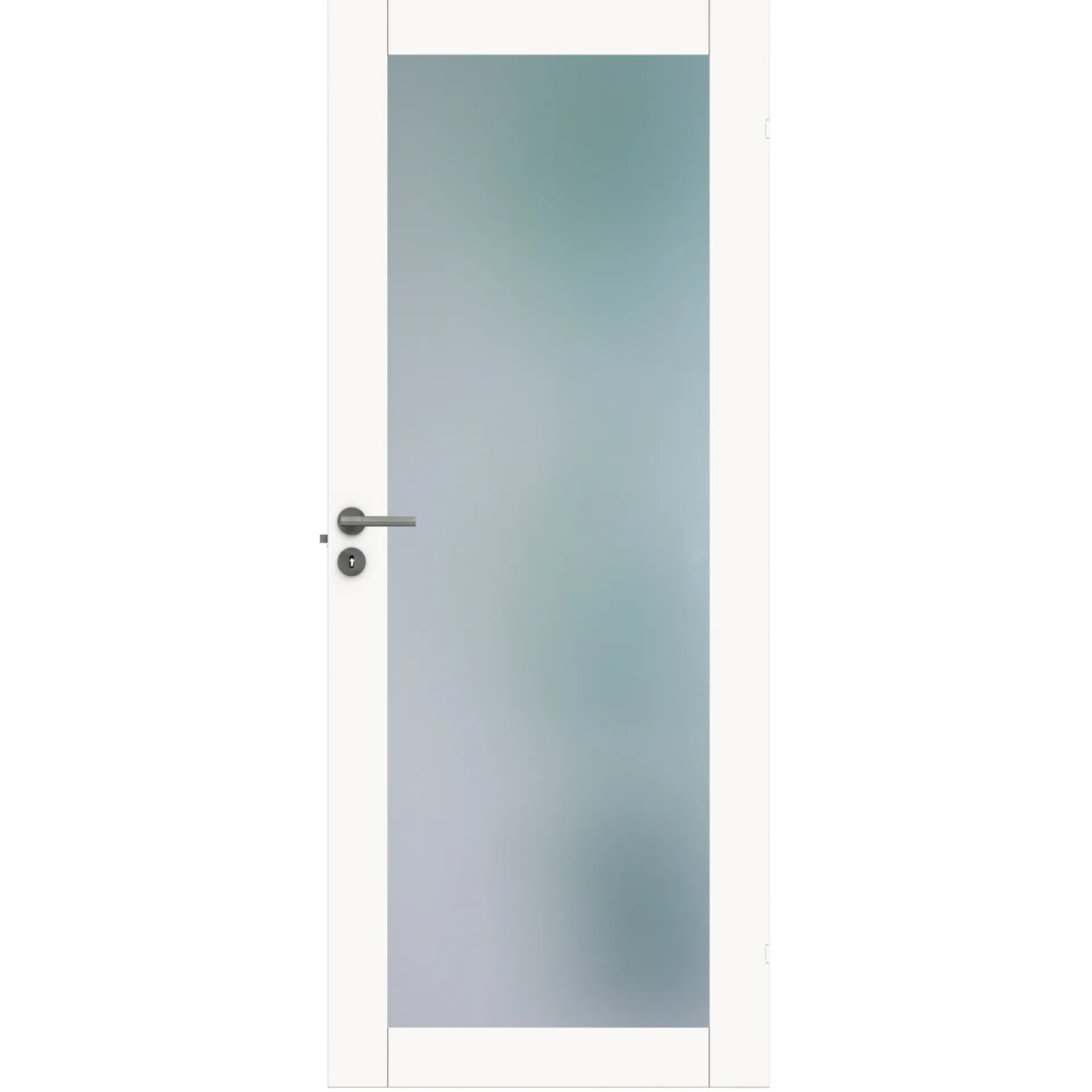 New Swedoor ADVANCE-LINE UNIQUE GW01L GLASDØR 10X21