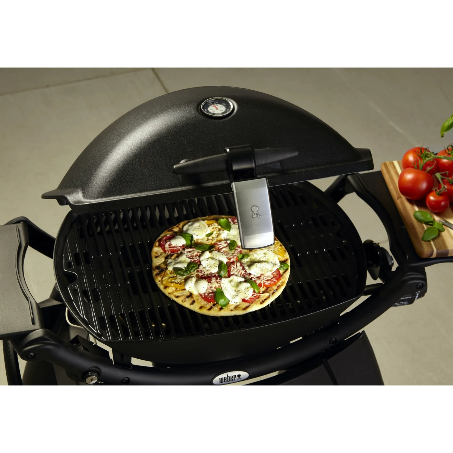 Discount Weber GRILL 'N' GO LYS