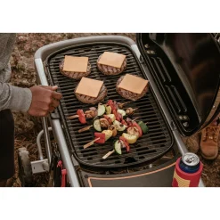 Best Weber TRAVELER GASGRILL SORT