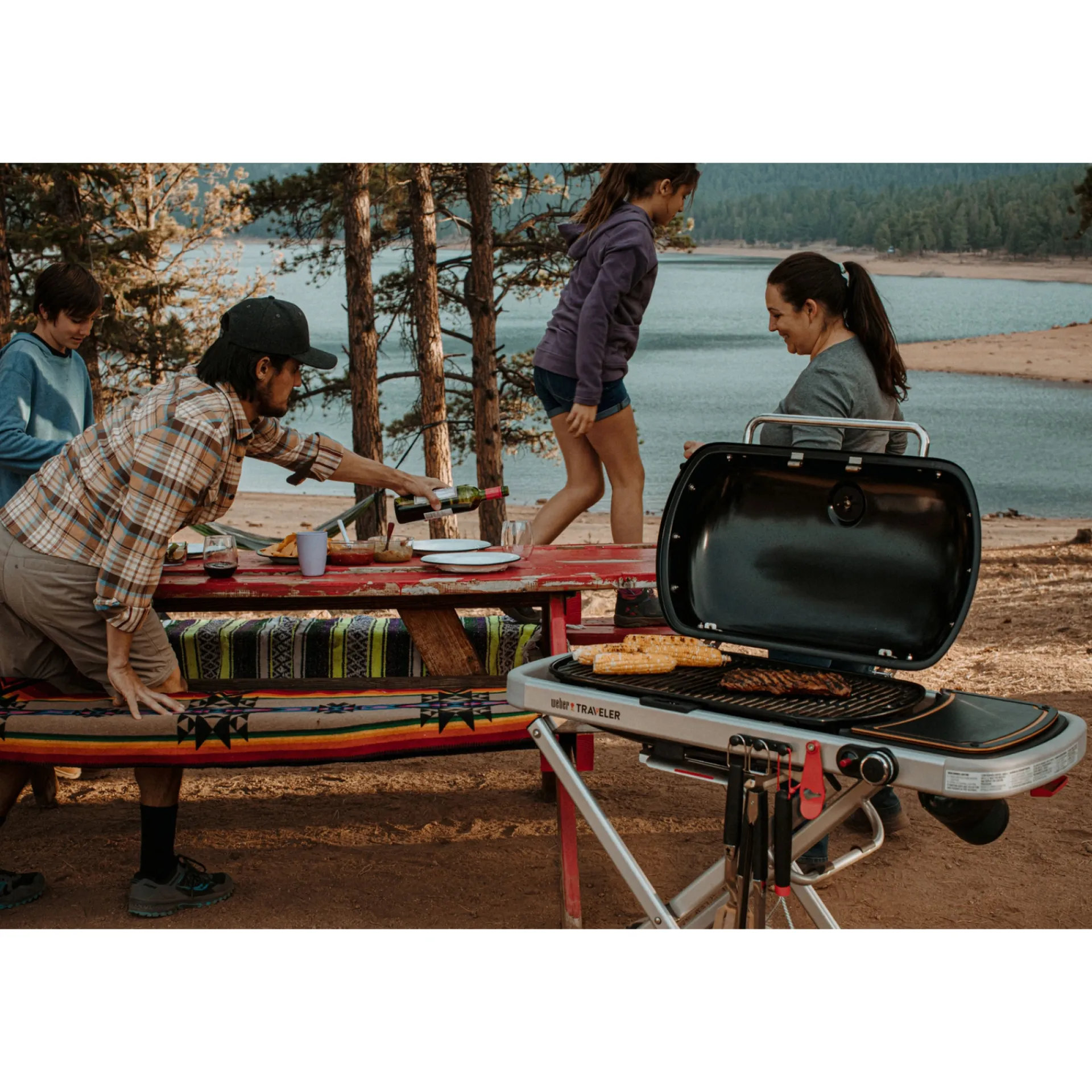 Best Weber TRAVELER GASGRILL SORT