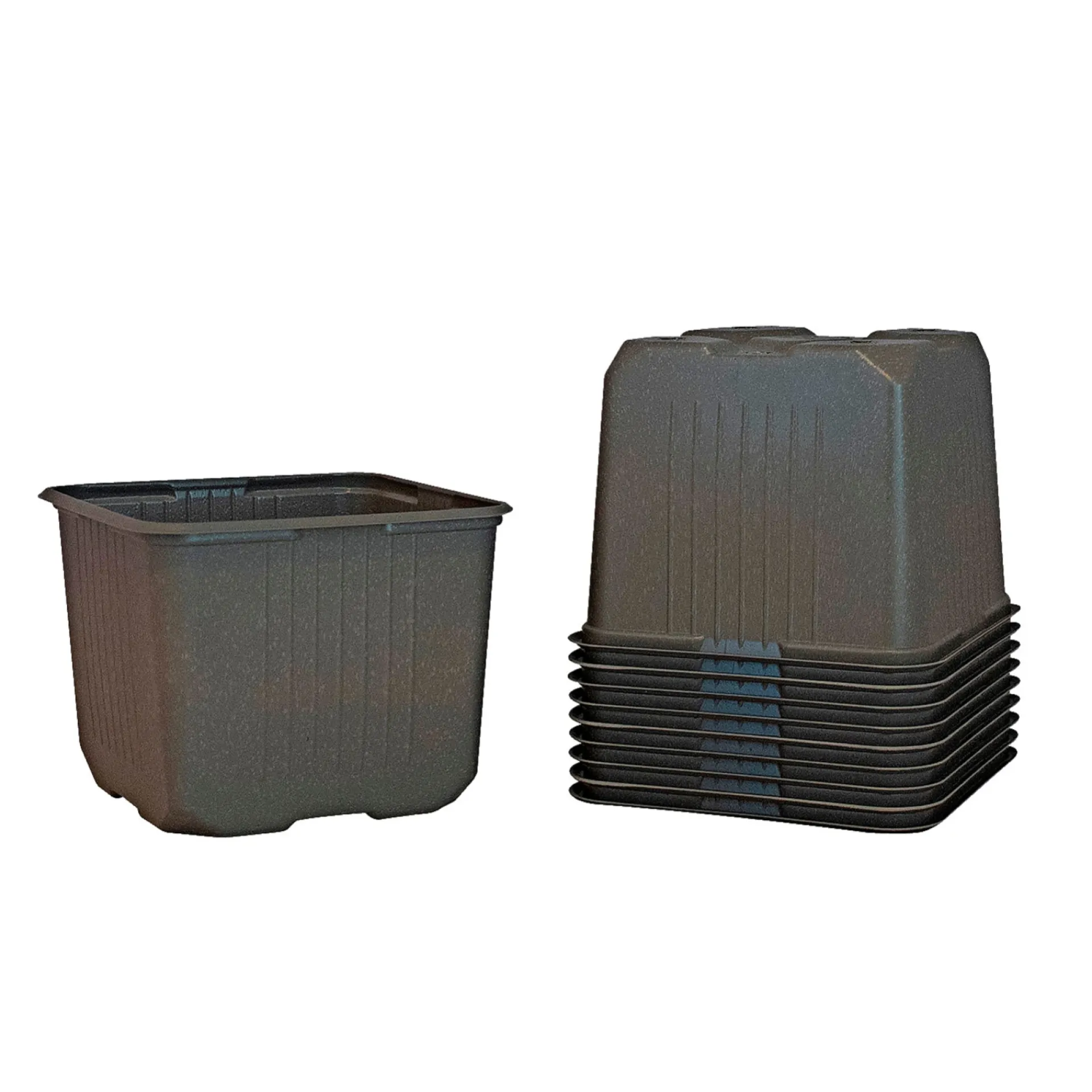 Hot Weibulls UDPLANTNINGSPOTTE 11 CM