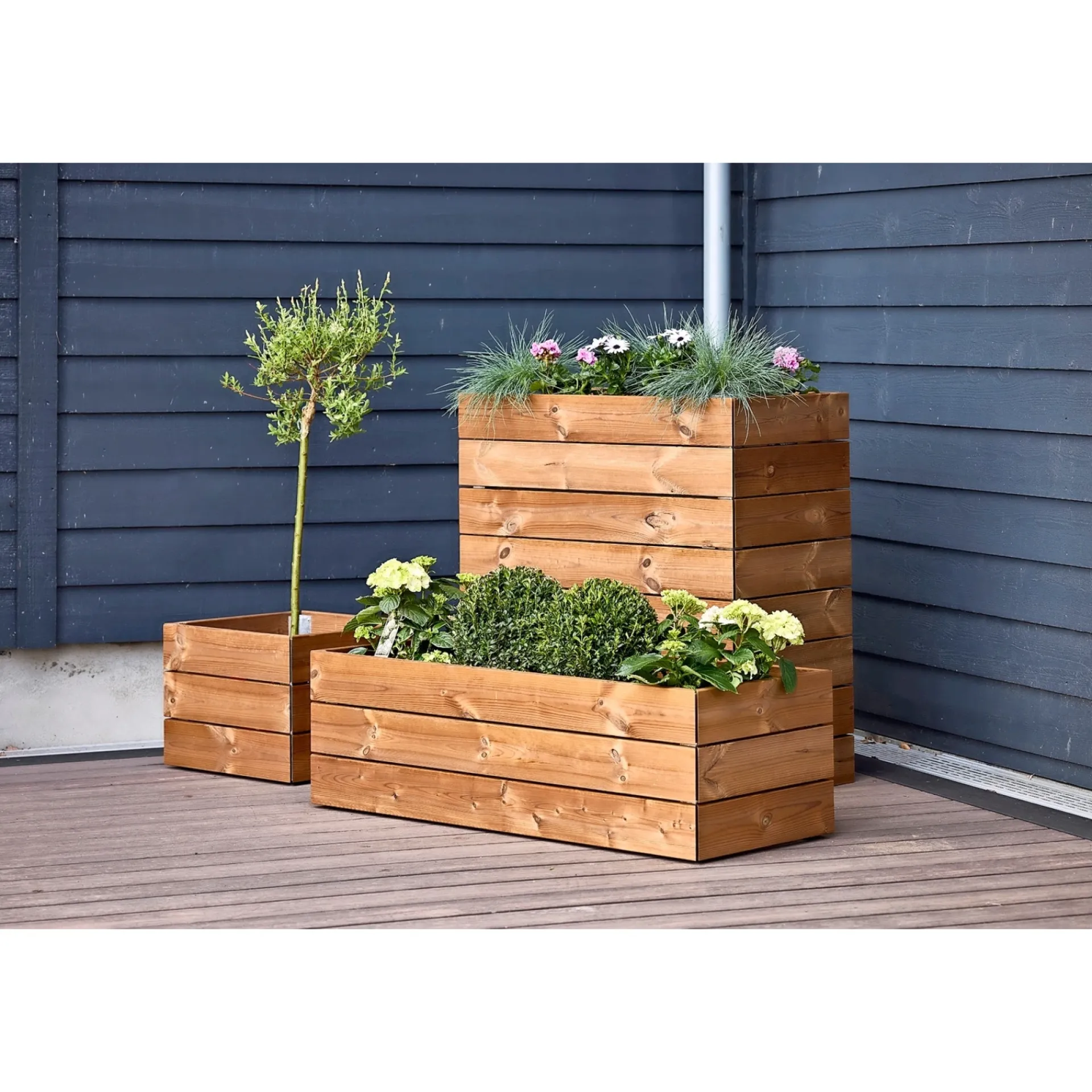 Sale Wimex PLANTEKASSE FYR 36 X 48.20 X 118.20 CM