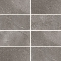 Clearance XL-BYG LECCESE FOSSILE GULVFLISE 30X60 MØRK GRÅ