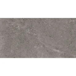 Clearance XL-BYG LECCESE FOSSILE GULVFLISE 30X60 MØRK GRÅ